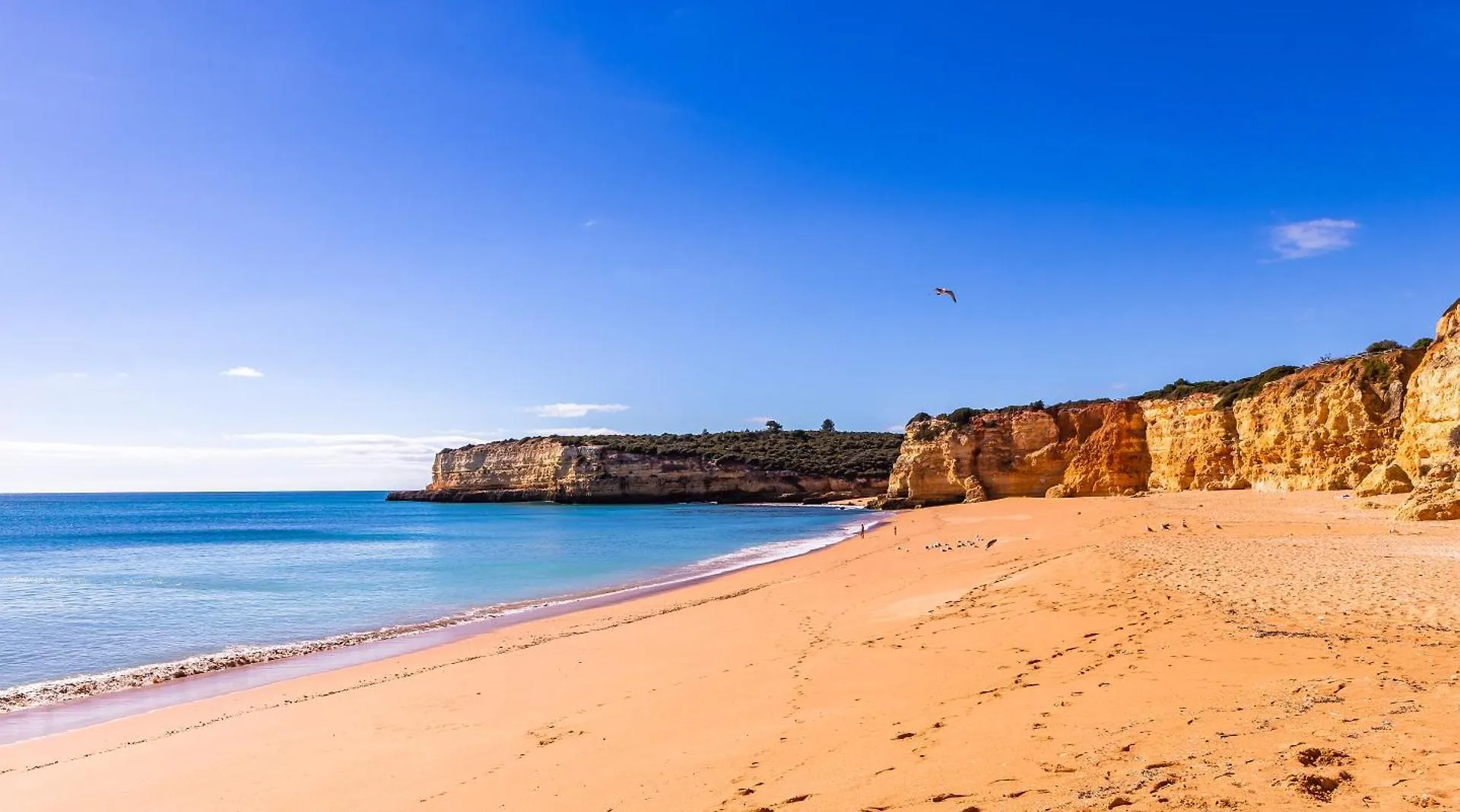 Apartamento Casa Limao - Senhora Da Rocha, Algarve Porches  Porches (Algarve)